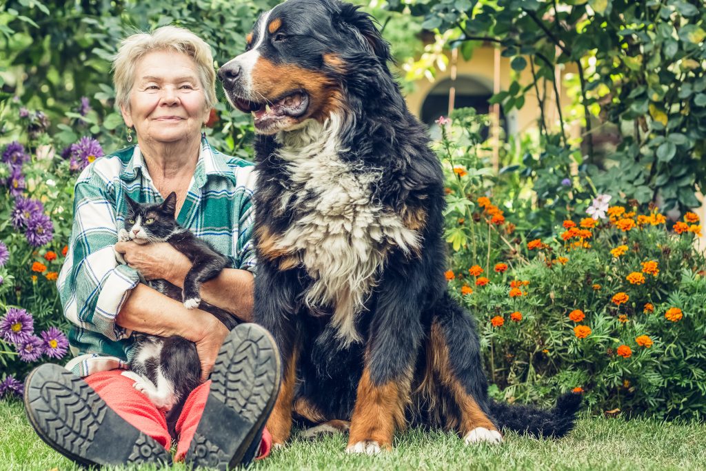 Pet trust